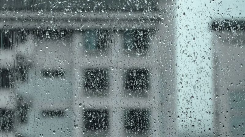 宁波评估报告：台风白海豚打破历史降雨纪录