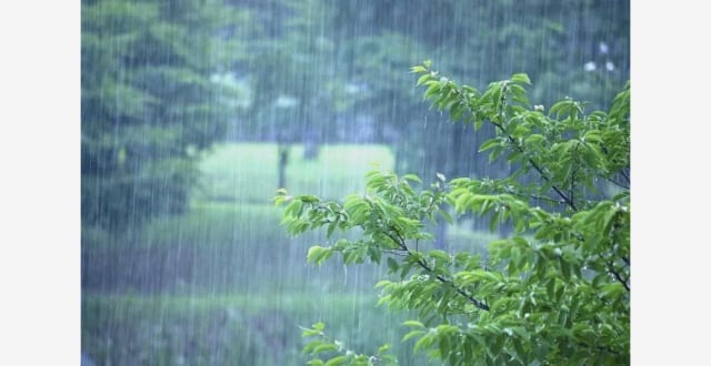 台风白海豚残涡东移 江南江淮仍有强降雨