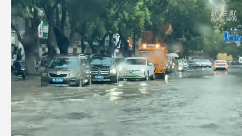 台风白海豚致舟山暴雨，电力部门特巡保安全